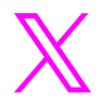 X (Twitter)